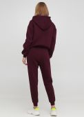 Штани-джогери жіночі зимові Only Women сливові (високий зріст)